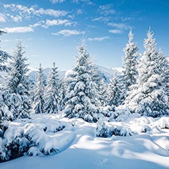 Shop & Save - Picture 3 of 11